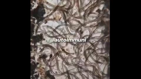 Cosa c'è davvero nel sushi?