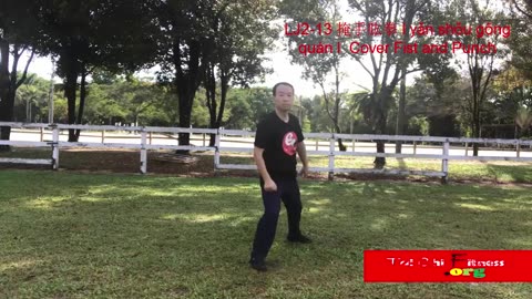 Aerobic Tai Chi Workout-015-I Cover Fist and Punch