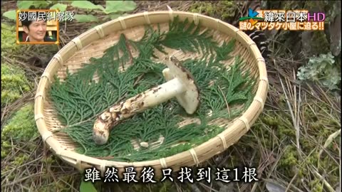 秘密のケンミンSHOW-妙國民糾察隊-長野縣民的真相&北海道應援企劃第2彈