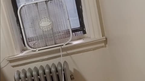 ICE arrests continue in NYC 🗽 as video 📹 shows immigrants detained in squalid conditions