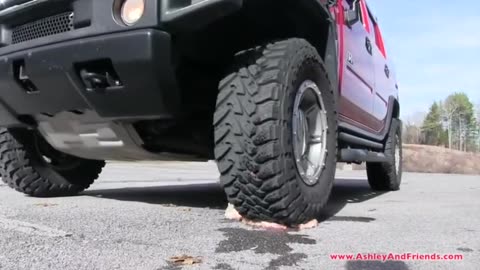 Hummer Crushes Chicken