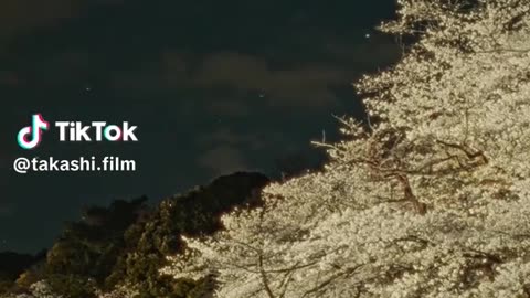 Kyoto japan