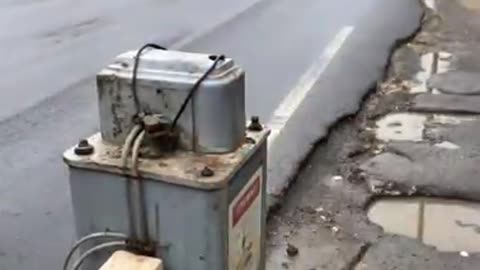Viral: Mother monkey rescues baby monkey after electric shock | Animal rescue |
