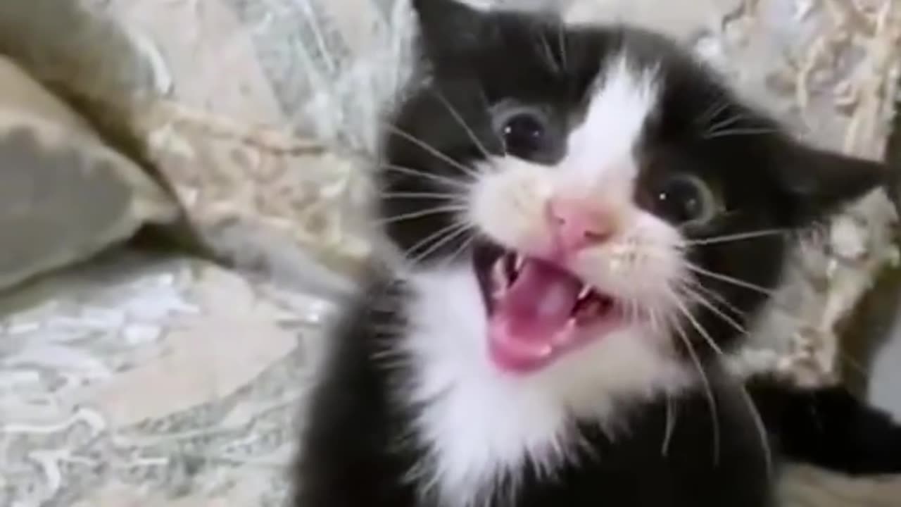 heyyoo !!!