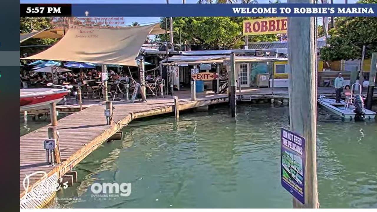 New! live boating and Pelican video with the word