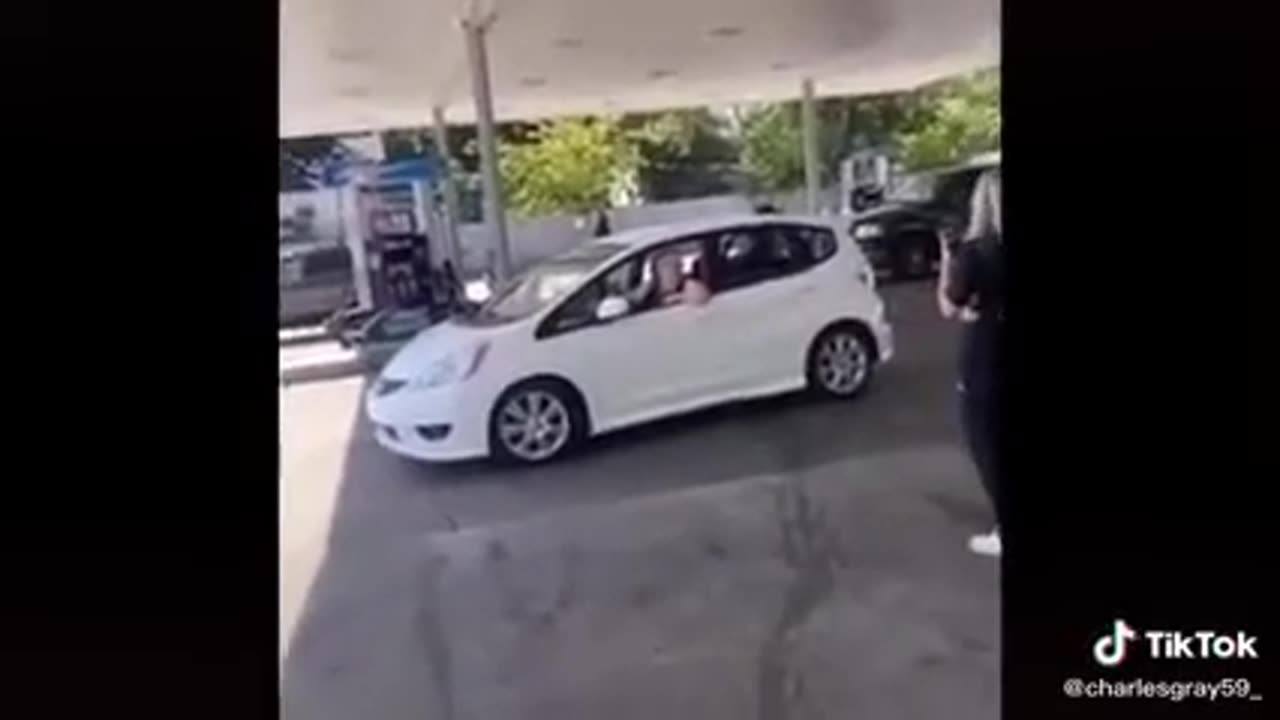 Locust1 The Meijer Lady is back