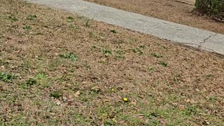 Rental Is DONE… Time to SELL 💰🔥 | Real Estate Reality