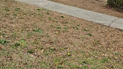 Rental Is DONE… Time to SELL 💰🔥 | Real Estate Reality