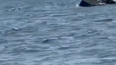 Boat owner's greed and mistreatment of passengers