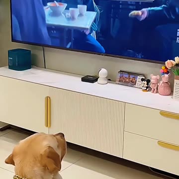 Dog’s Funniest Reaction to Food! 🐶😂 #Shorts