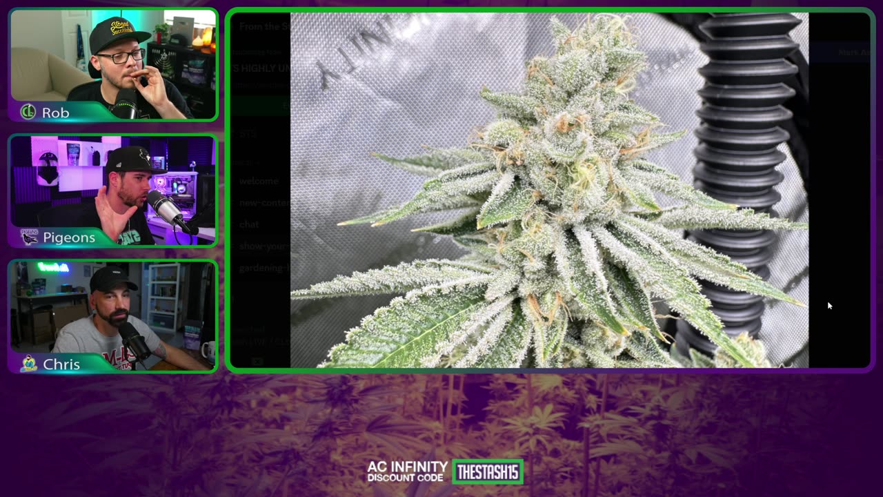 BIG GARDEN UPDATES! - FTS Highly Uncensored 5/1