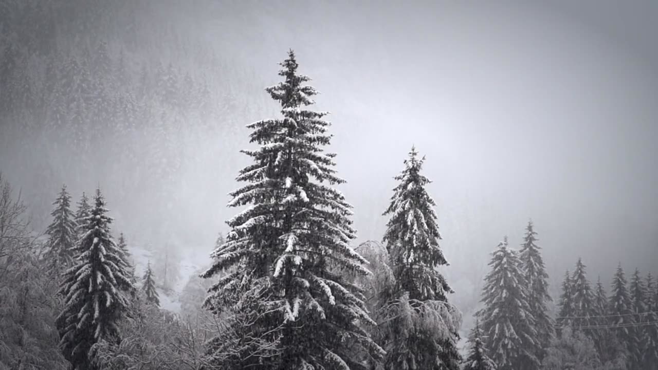 Peaceful Snowfall – Relaxing Winter Ambience with Calming Music ❄️🎵