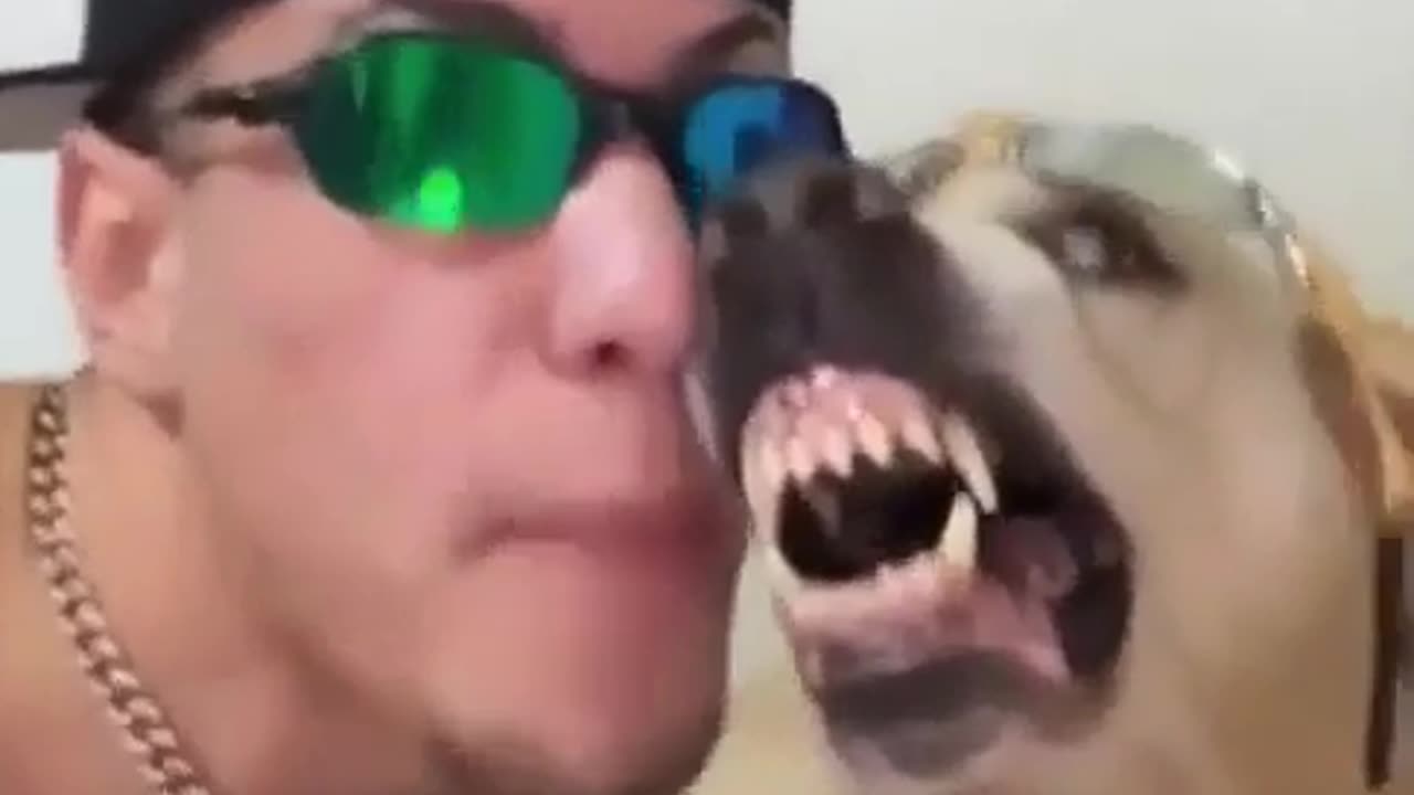 😂🐶 Snoop Dogg's New Single is Hilarious! | FunFM