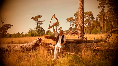 Gothic Aeolian Harp. Winds of May