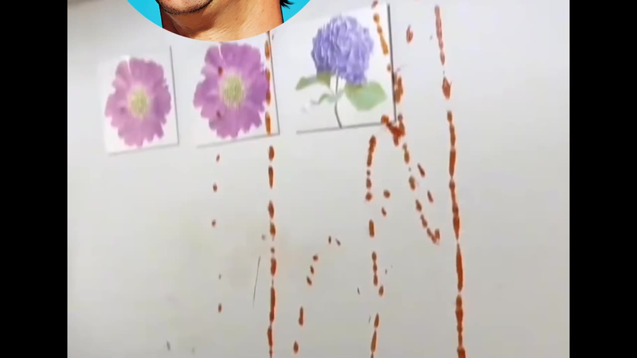 How to use all the ketchup + solution