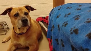 VID_20250921_140447737