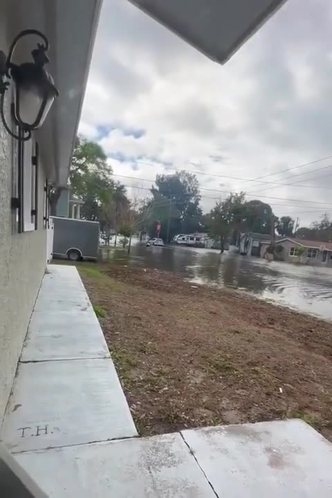 What type of Electricity is this?