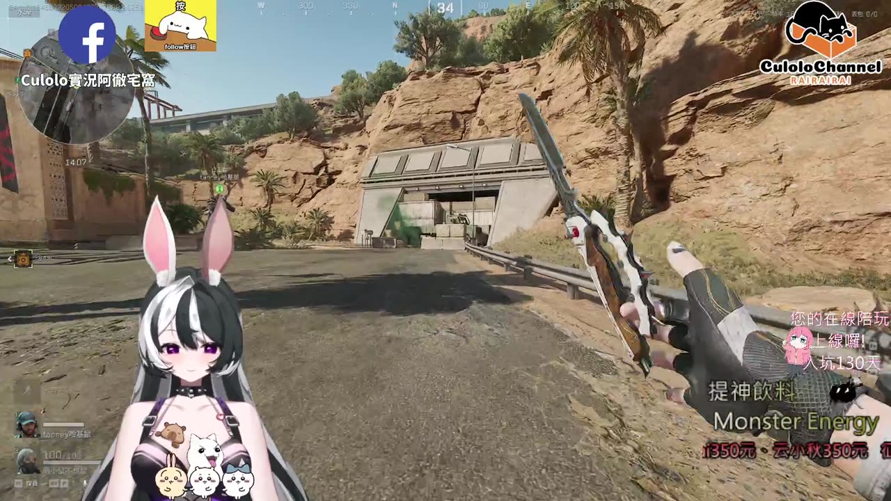 🌱vs🧟‍♀️ New version⭐新手向⭐🥺倉鼠系玩家🥺| 來聊天R ✨💎(๑˃̵ᴗ˂̵)و Culolo Channel(๑˃̵ᴗ˂̵)و 5 Taiwan優質台💎✨