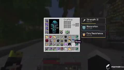How I Took Over This Minecraft Server Under 24 Hours