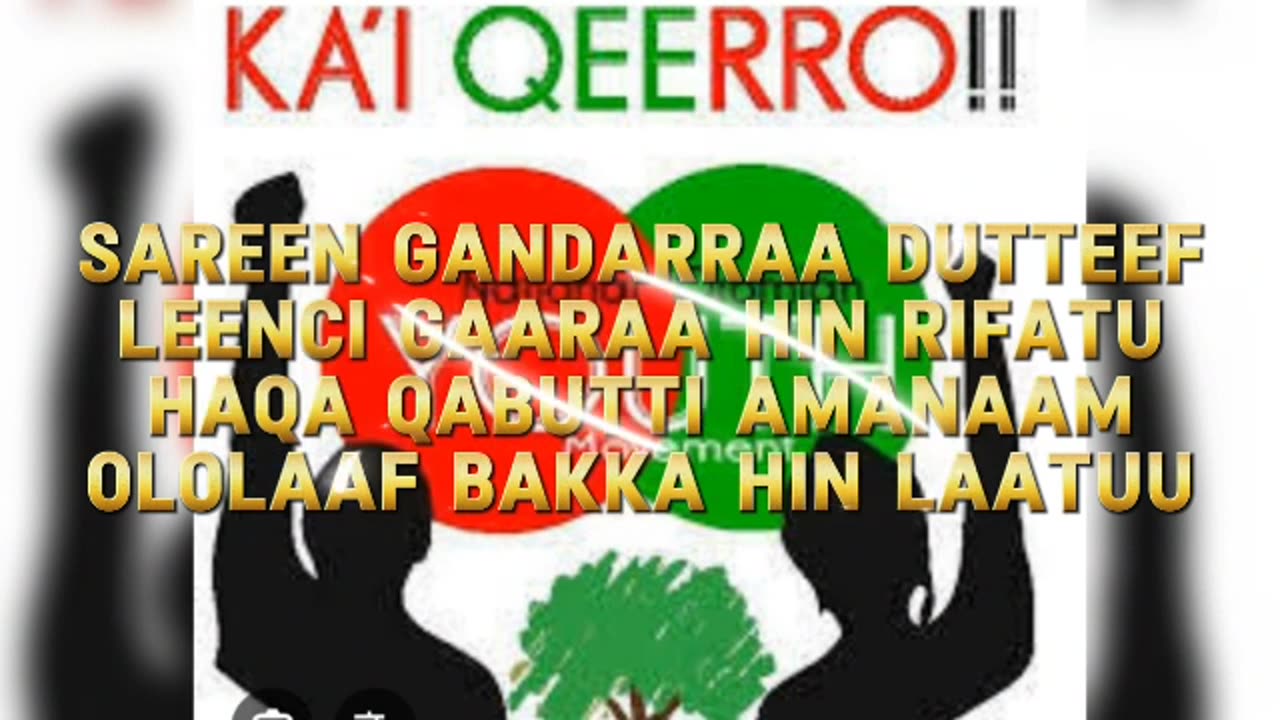 ONM-ABO Waxaabajjii 22-2025 itti dhiyaadhaa!