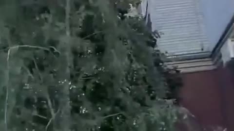 🎯💥 Ukraine Russia War | Russian Cruise Missile Strikes Kiev | RCF