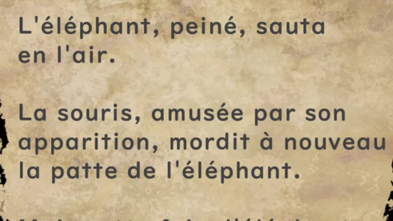 Éléphant et souris - Huhito Fables-Version française Vol.39