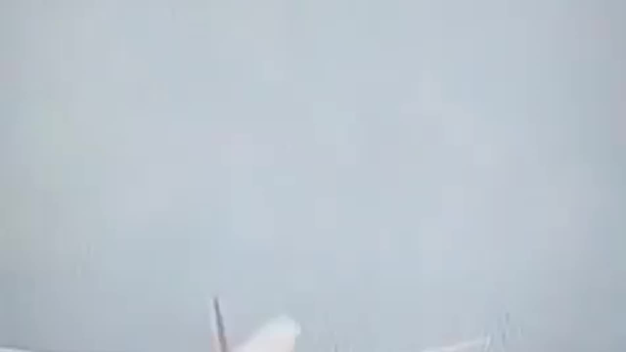 Air India Crash
