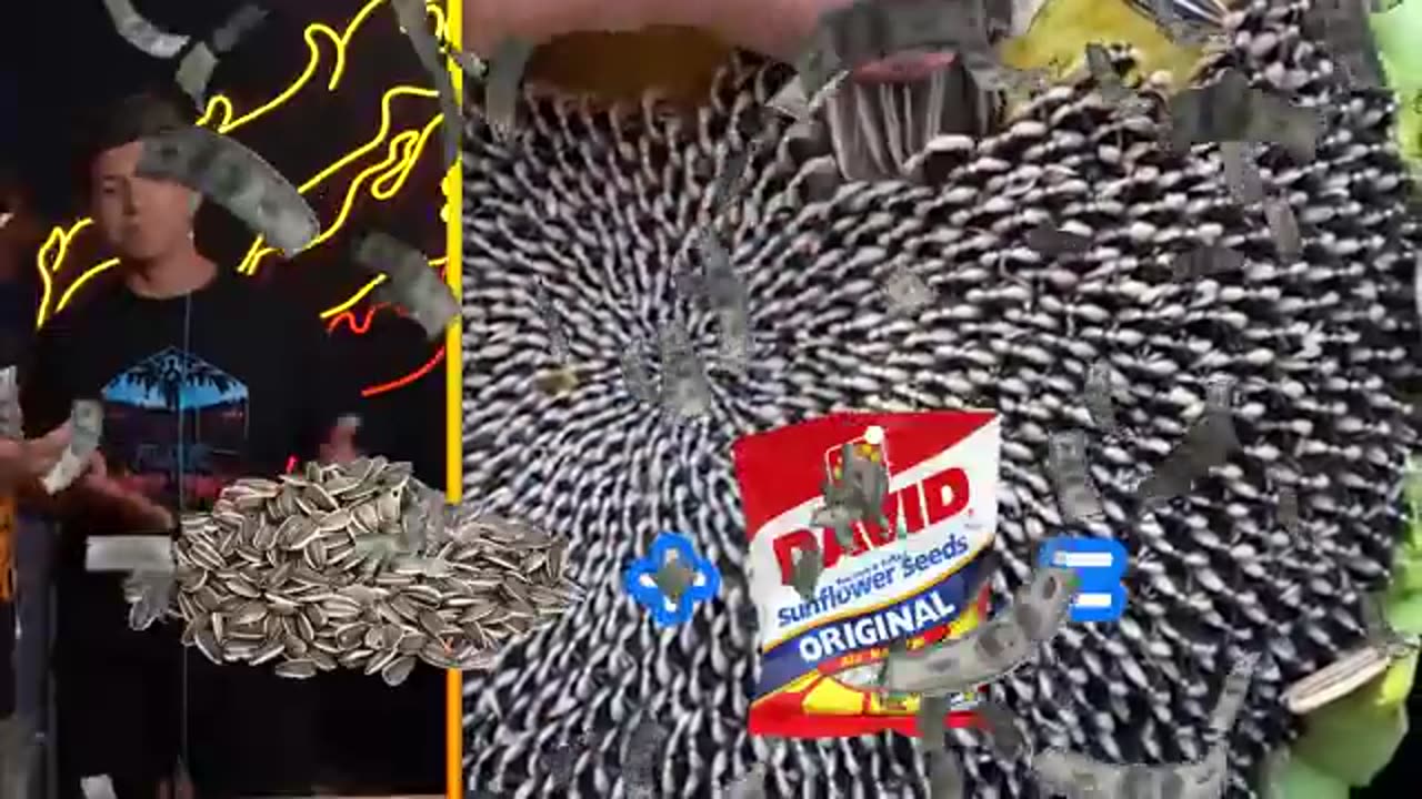 Amazing: The MOST Satisfying Video In The World