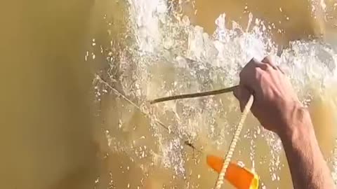 you need to watch this !