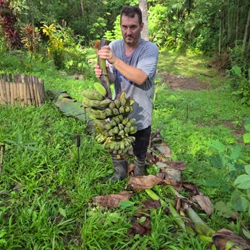 🍌 Banana Harvest in the Philippines | Expat Farm Life 🇵🇭🌾