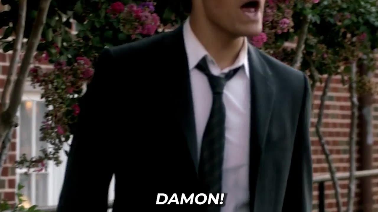 Stefan punches Damon for feeding Elena his blood | The Vampire Diaries | ShowTime Clips