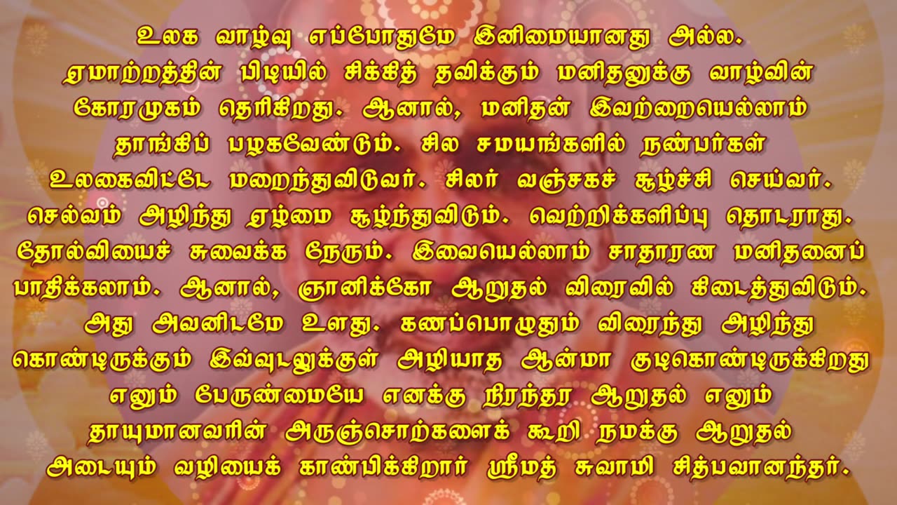 October 24 | CONSOLATION | Daily Divine Digest