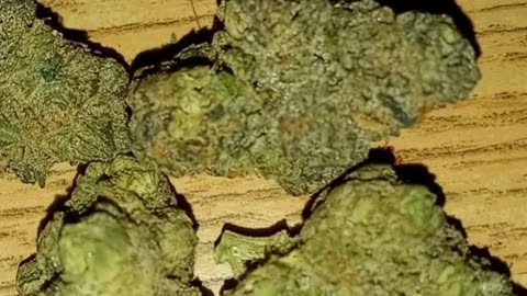 S13 Episode 1 Banana Daddy Strain Review