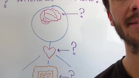 Where is the mind?