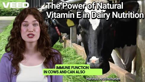 Natural Vitamin E: Dairy Cows' Secret for Healthier Milk