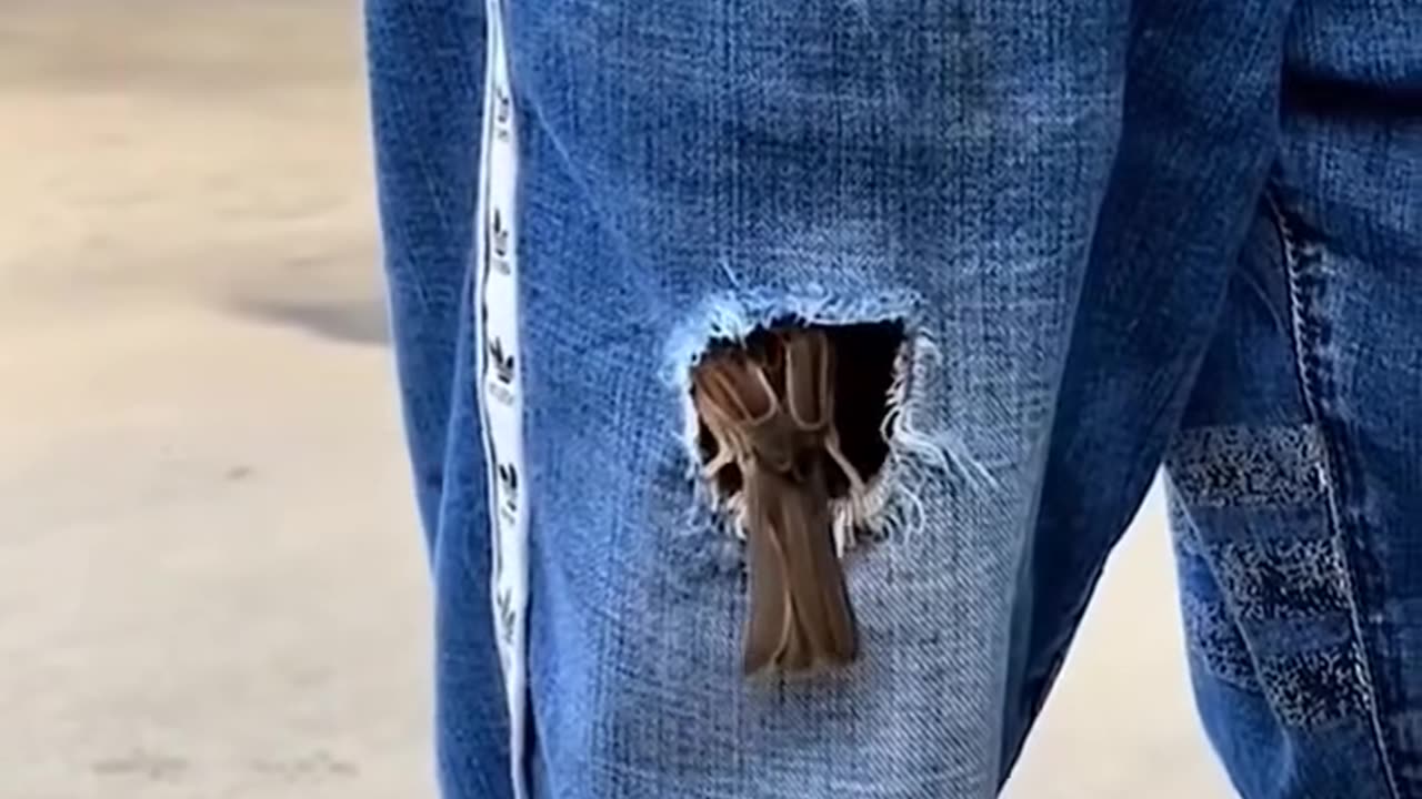 Real action scene shorts viral video