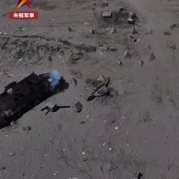 China’s Army conducts an amphibious landing drill featuring several robo dogs as front-line scouts.