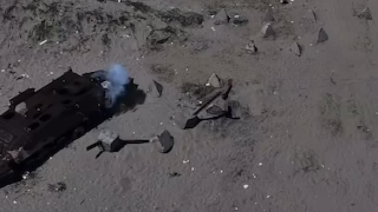 China’s Army conducts an amphibious landing drill featuring several robo dogs as front-line scouts.