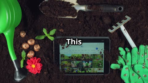 Stop Killing Your Plants! The Foolproof Guide to a Thriving Garden.