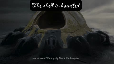 Hollow turtle.