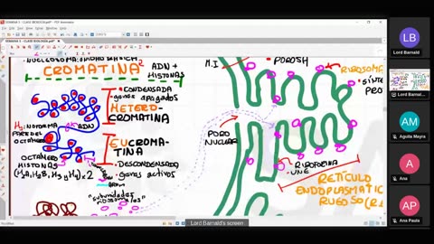 SAVIA SEMIANUAL 2024 | Semana 05 | Biología S1