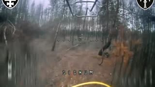 Ukrainian fiber optic FPV drones destroy Russian infantry in the Serebryansk forest on the Lyman