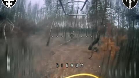 Ukrainian fiber optic FPV drones destroy Russian infantry in the Serebryansk forest on the Lyman