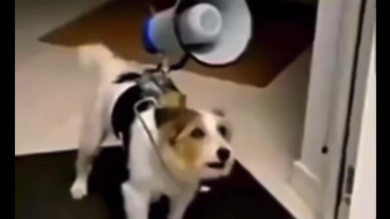 New alarm system for sale 😂🤦‍♂️