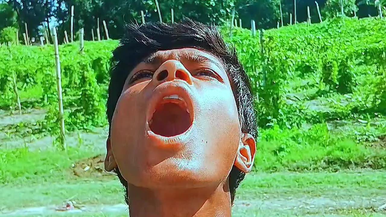 Wow 😲