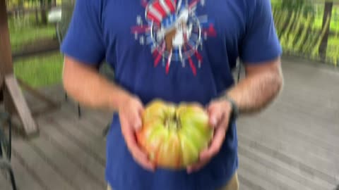 Domingo Tomato weighs over 2 pounds!