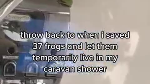 This girl saved an army of frogs