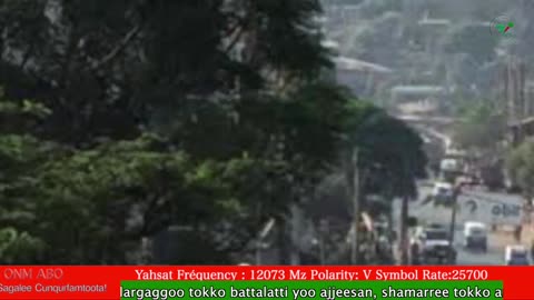 Oduu Ganama ONM-ABO Bitootessa 16-2025 itti dhiyaadhaa!