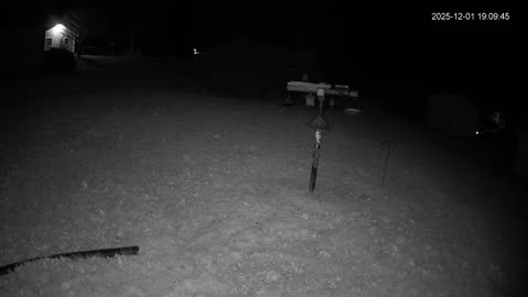 Bird Feeder in Western Maryland USA