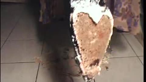 Cream Cake Disaster